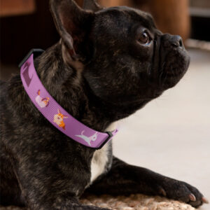 Collar Patas